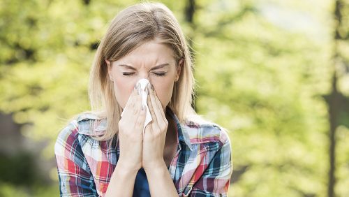 Recrutement de personnes allergiques aux pollens