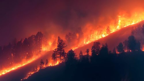 Un climat propice aux feux de forêt