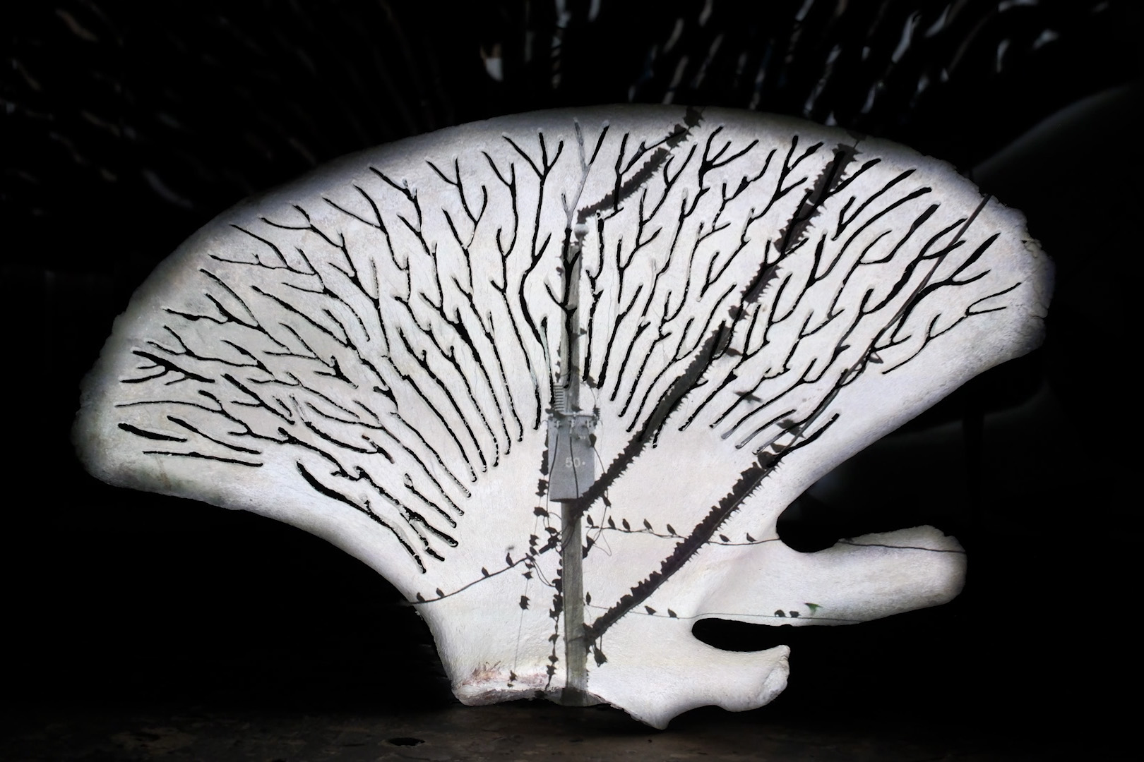 Image tiré du film <em>Madeleine</em>.