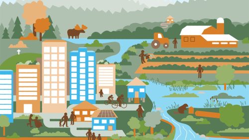 Nouveau DESS en solutions axées sur la nature et résilience des territoires