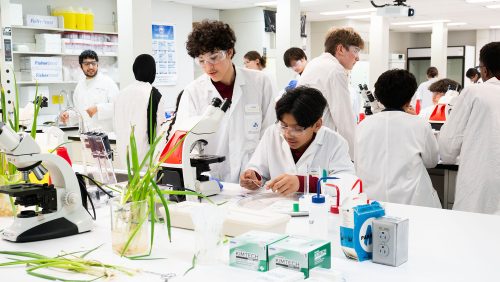 Le Cœur des sciences: 20 ans de vulgarisation scientifique