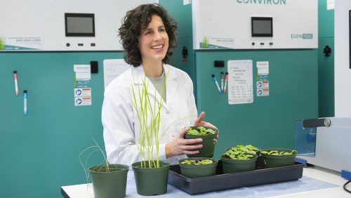 Zoé Joly-Lopez ouvre les portes de son laboratoire aux élèves du secondaire