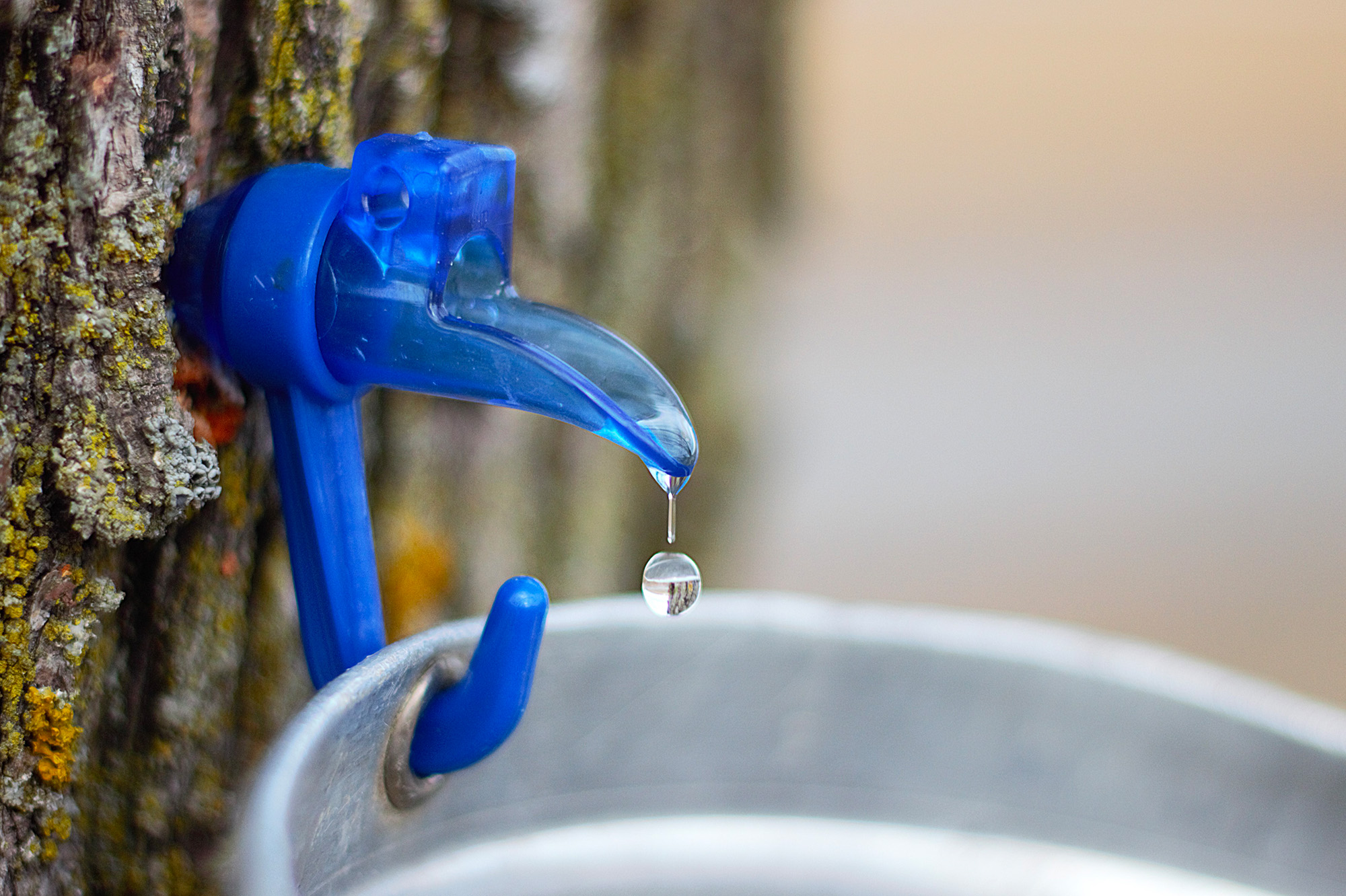 Photo: Élise Bouchard / Édition 2025 du concours La preuve par l’image de l’Acfas.